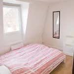 Lille Moulin, Duplex Lumineux 4P