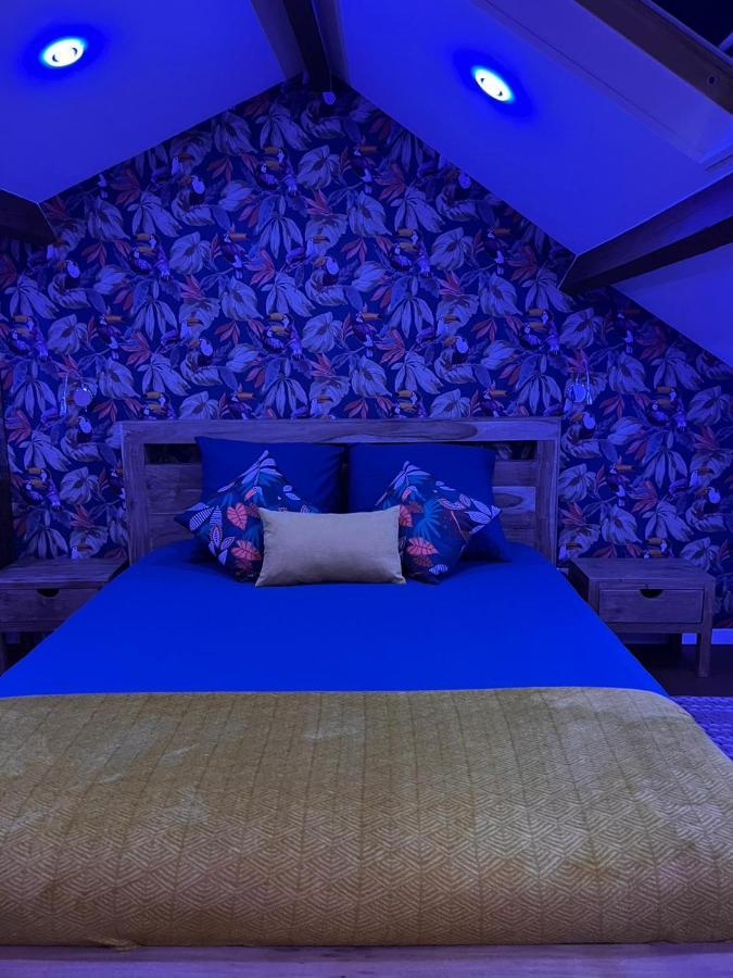 Justcozy Independante #4 *