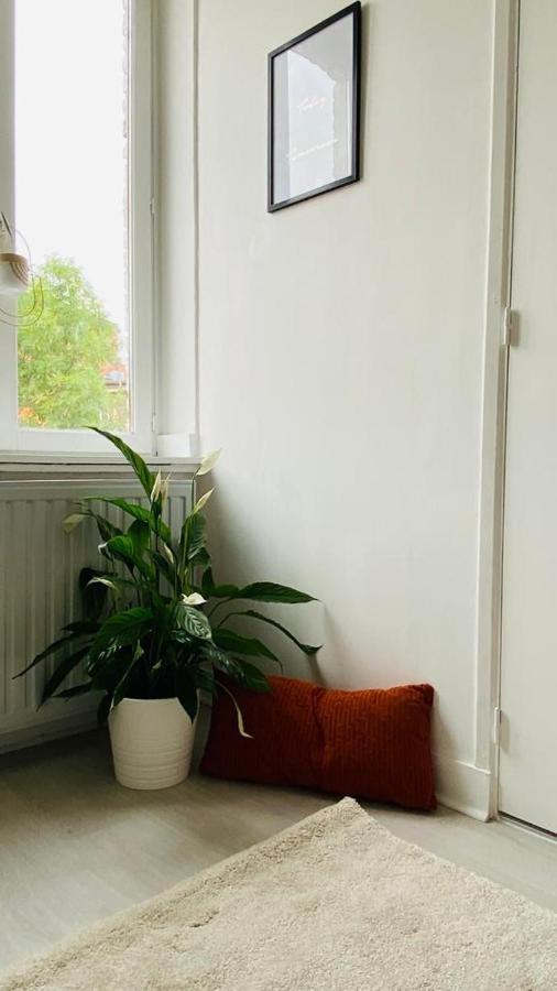 Apartment Maisonette Tran
