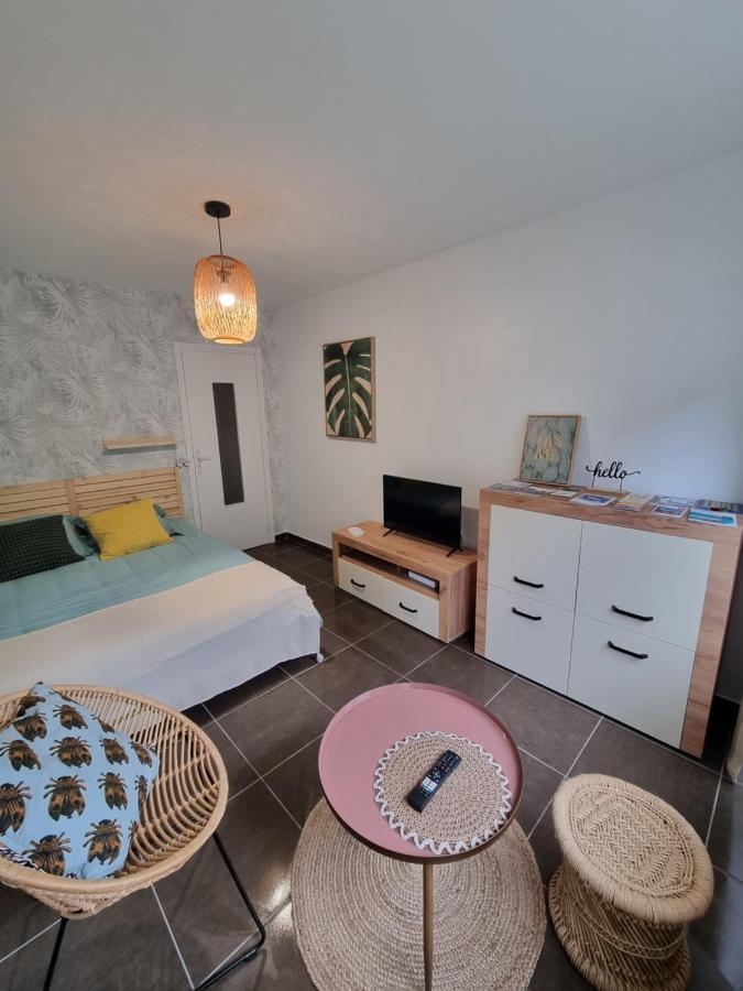 Apartment Studio Vieux Parking Prive Lille