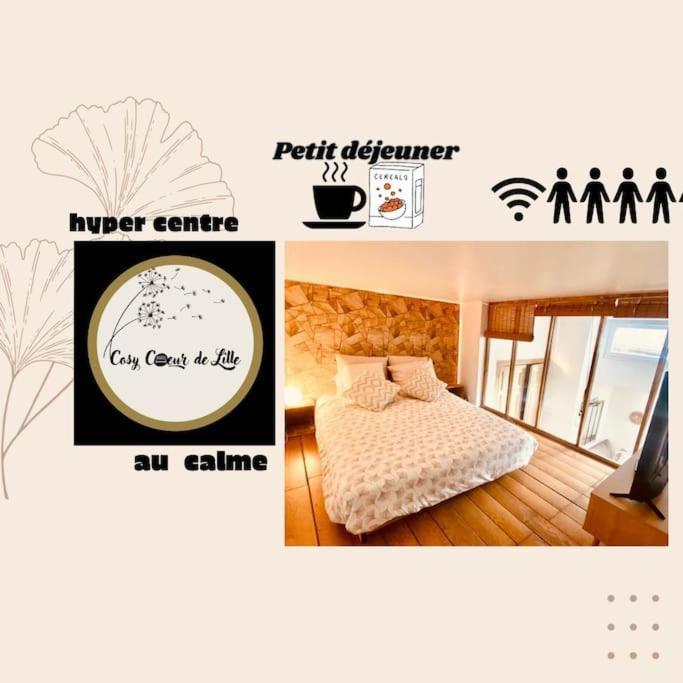 Appartement Cosy Coeur De Lille