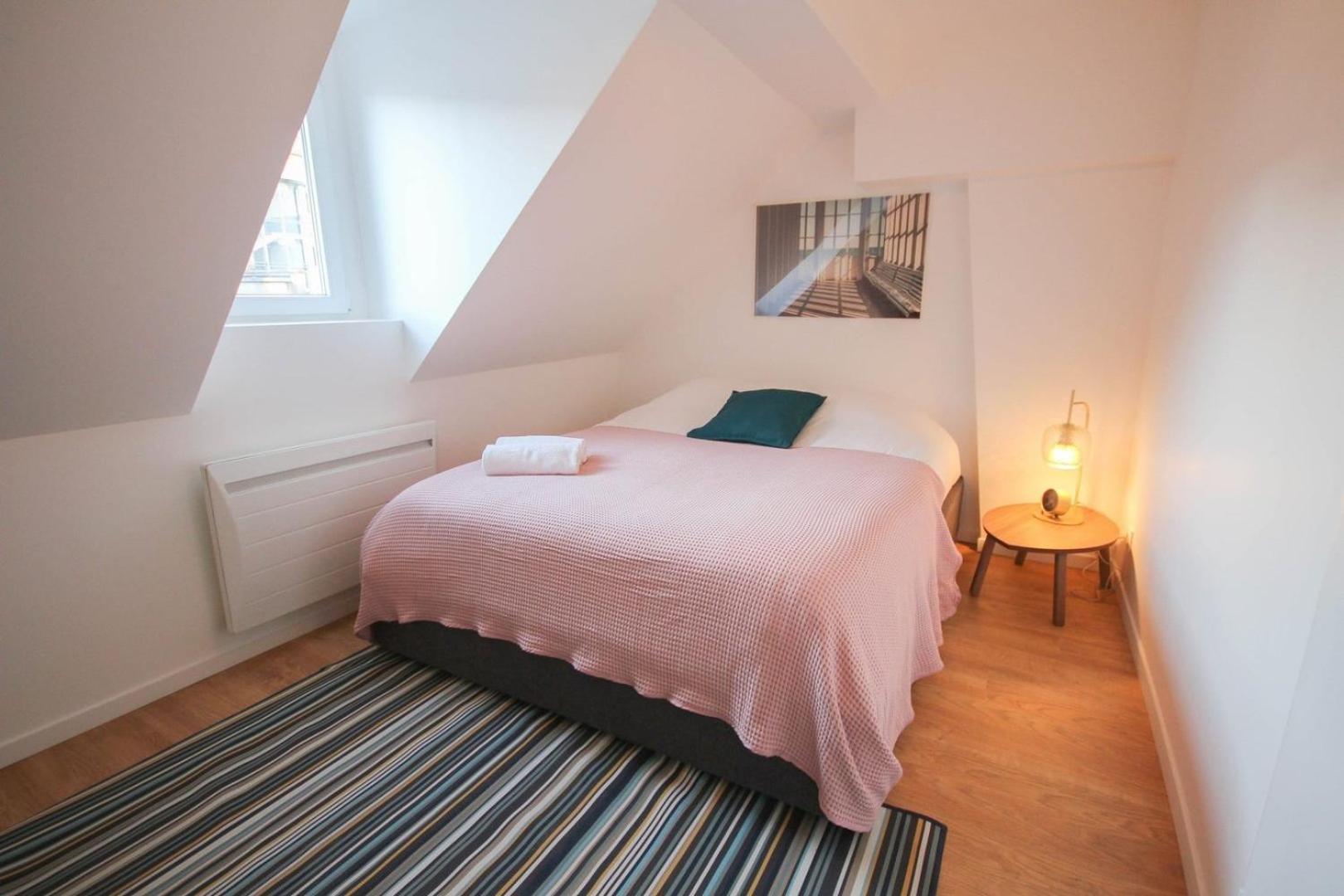 Centre - Nice, Cozy And Functional Ap. Lille