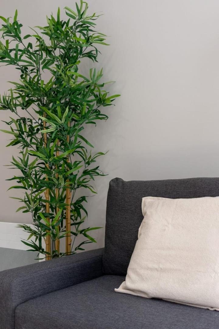Hypercentre -apartment In Pedestrian Zone