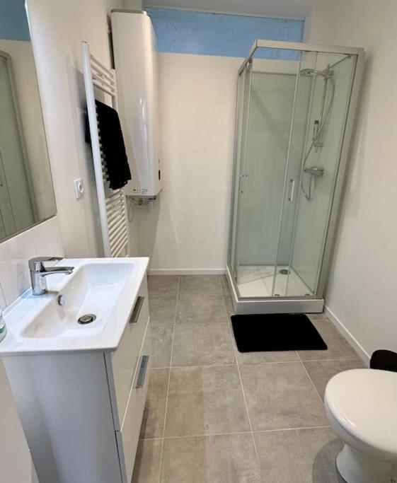Maison 10 22 Couchages Prox Gare Et Centr Ferienhaus *