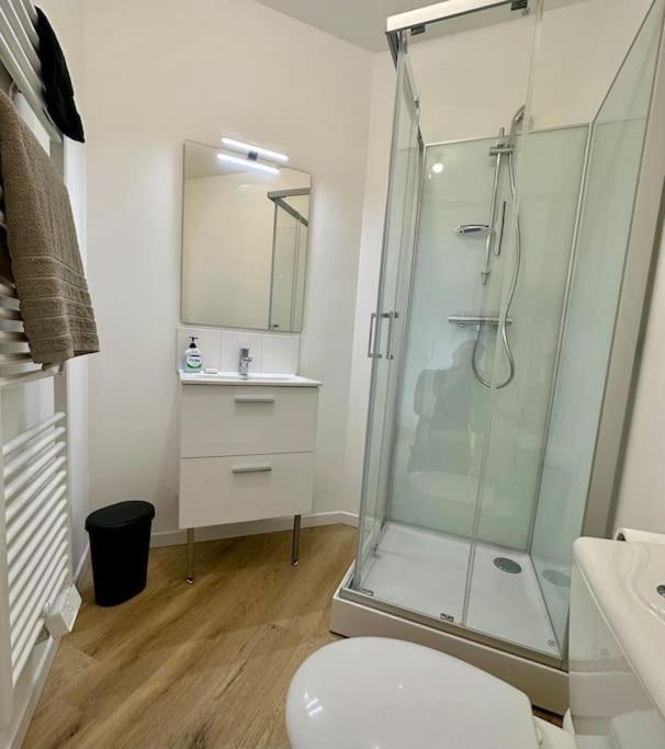 Ferienhaus Maison 10 22 Couchages Prox Gare Et Centr