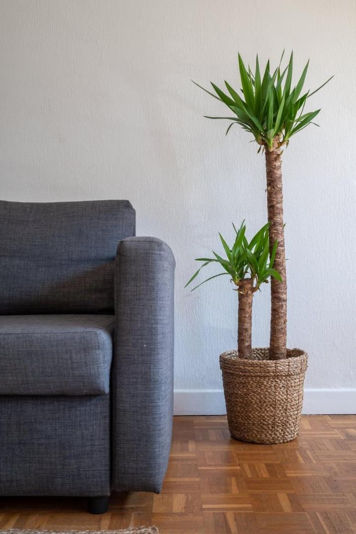 Bright Flat In The Heart Of Vieux Lille. Lille