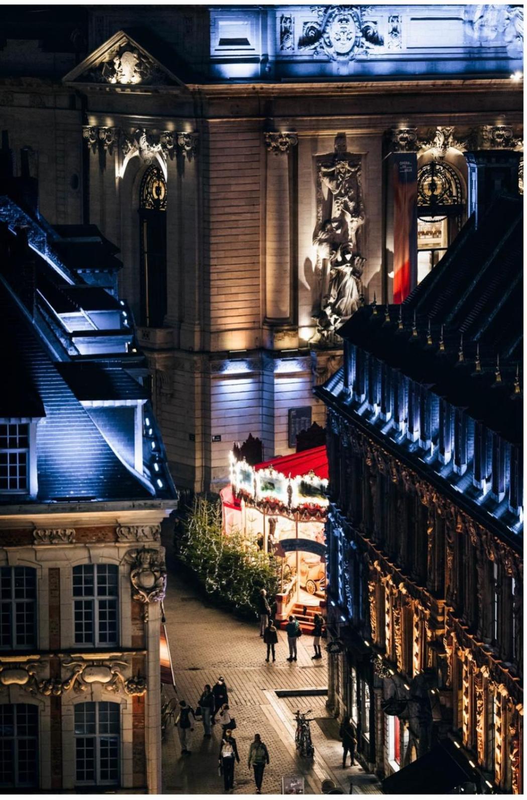 Studio Vieux Parking Prive Apartment Lille