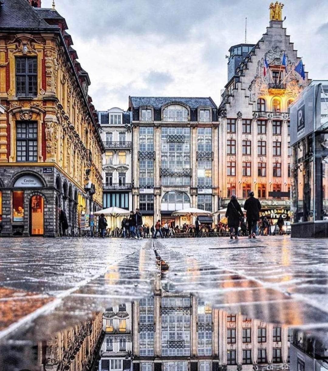 Apartment Au Printemps Lille