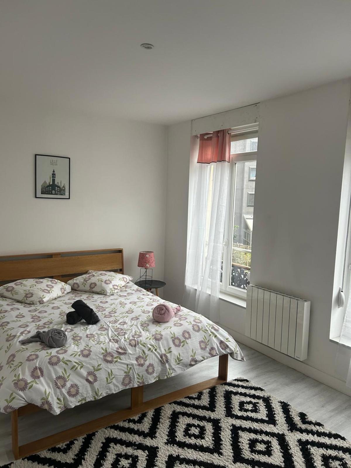 Apartment Poppy-ideally Located, Next Station,gd Palais&city Lille
