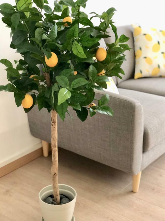 Yellow Lemon Tree - Centre - Parking Lille