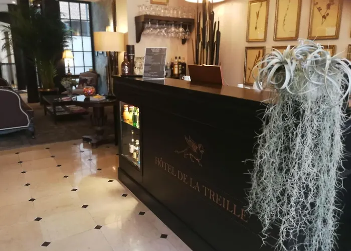 Hotel De La Treille