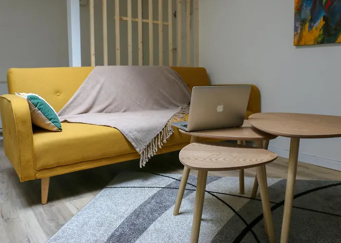 Duplex D\'Exception : Green & Wood Proche Centre Lille Wifi Hd
