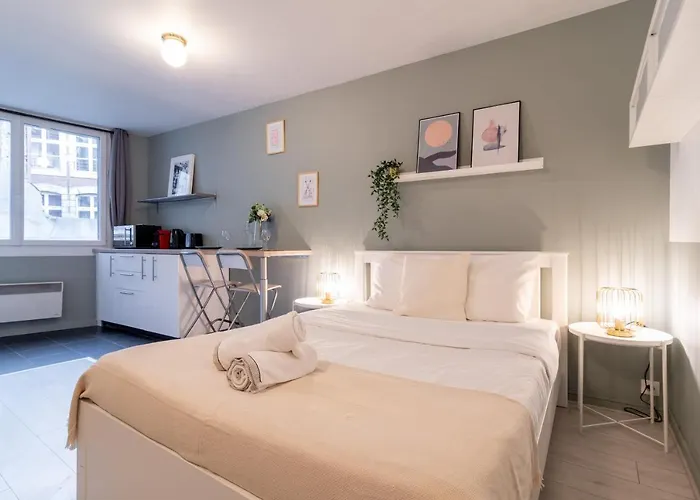 Lille Centre - Nice Cozy And Functional Studio