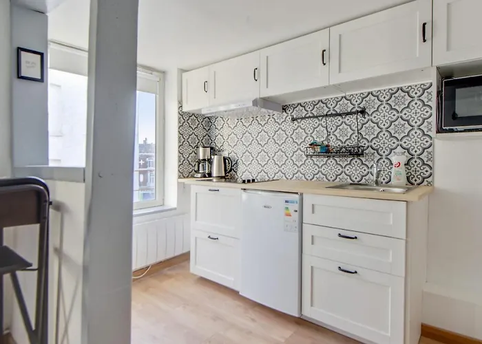 Nice Apartment In The Heart Of Lille - Welkeys