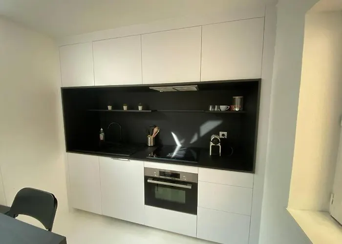 Appartement 50 M2 Avec Rooftop Lille Centre