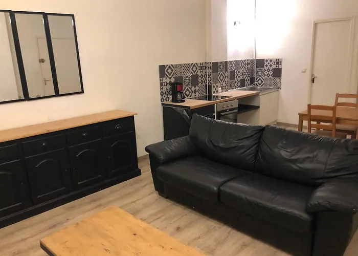 Appartement Et Son Jardin A Lille Fac De Droit
