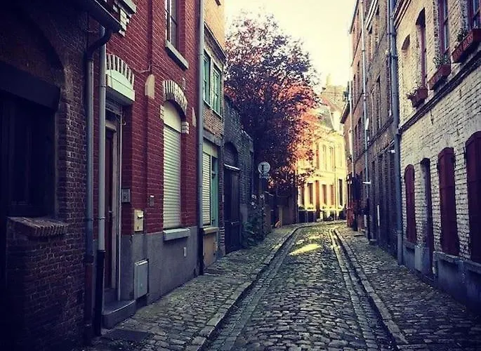 Maison Vieux Lille