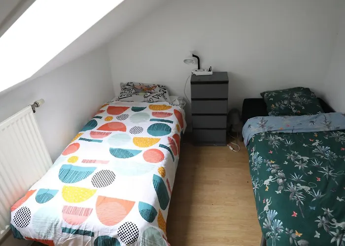 Duplex Appartement Lille 15