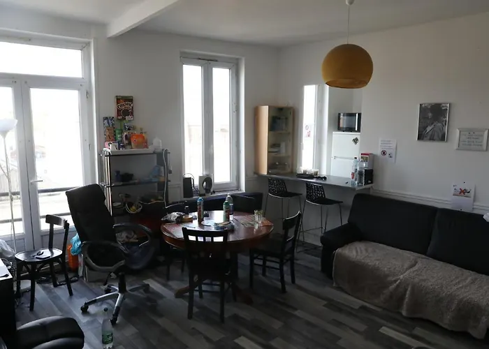 Appartement Spacieux Lille 15