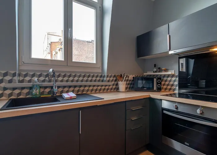 Lille Hypercentre - Superb cosy duplex Parking