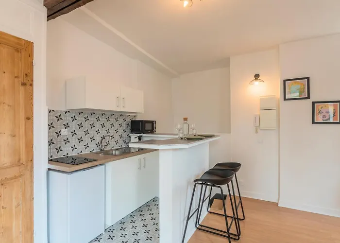 Lille St Maurice- 7Min From Train !