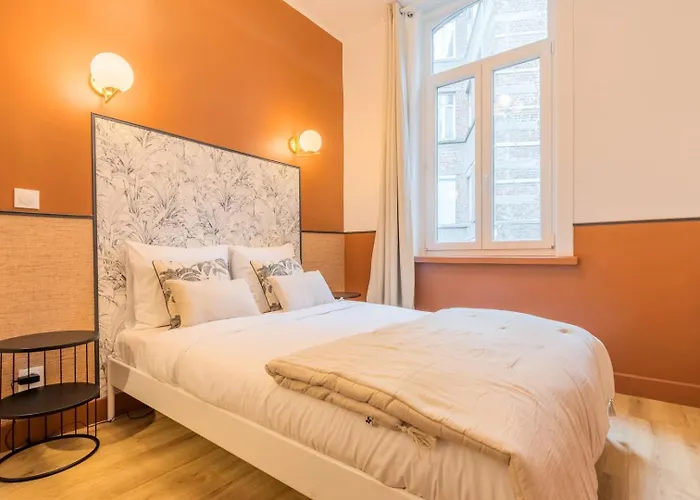 5-Bedroom House In The Centre Of Lille.