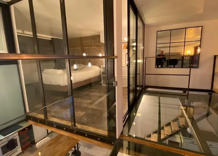 Vaste T2 Duplex Lille Beaux Arts - Renaud