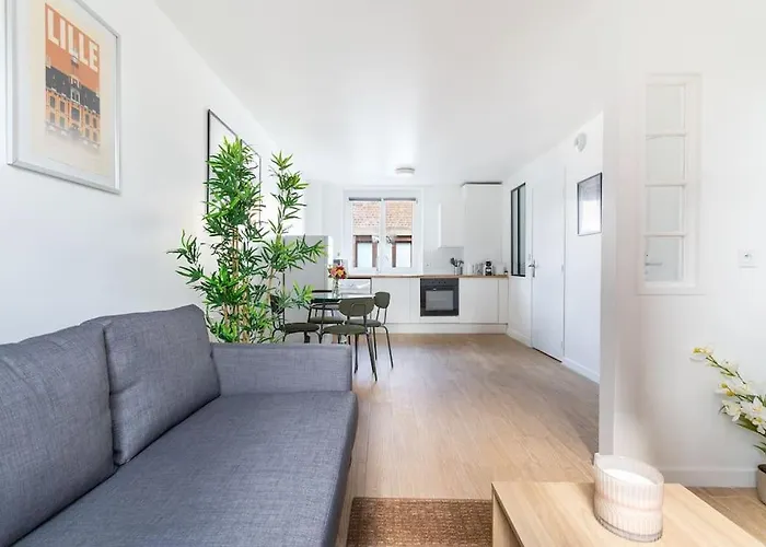Lille - Bel Appartement Cosy Et Lumineux