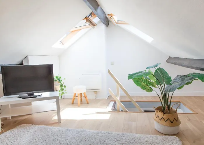 Lille Moulin, Duplex Lumineux 4P