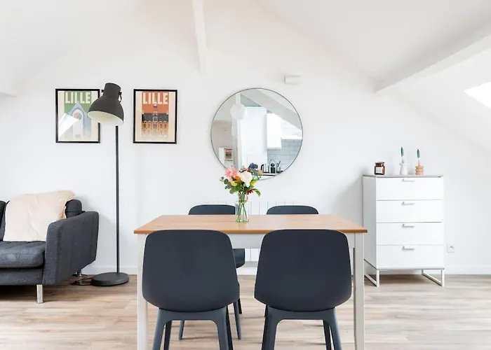 Appartement Agreable Et Spacieux 2 Chambres 2 Sdb - Lille