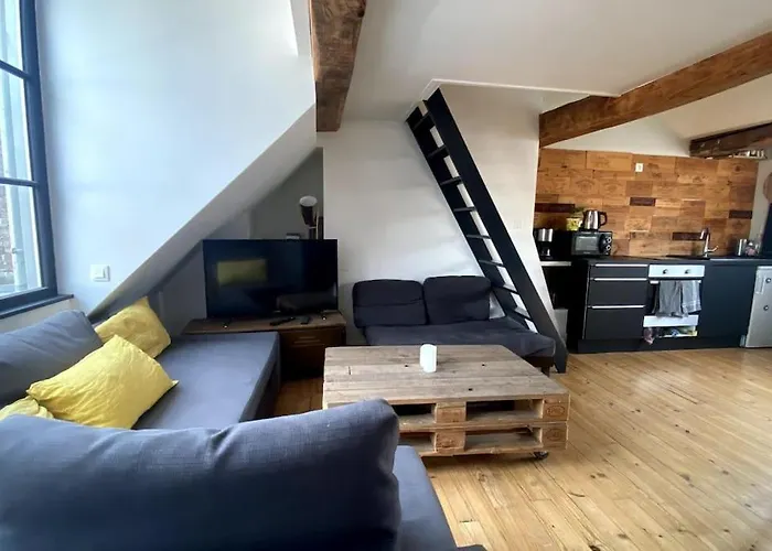 Beau T2 Caractere Vieux Lille ! Matheo