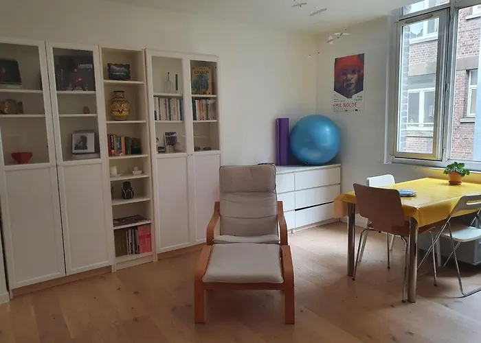 Flat Sainte Anne Lille