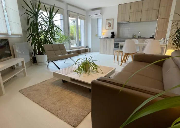 Appartement ,Superbe Terrasse 40M2 , Vieux Lille , Centre Ville