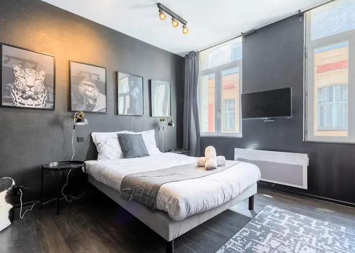 Studio Located On The Grand Place!