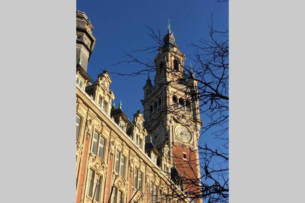 Appartement Grande Chaussee Rijsel
