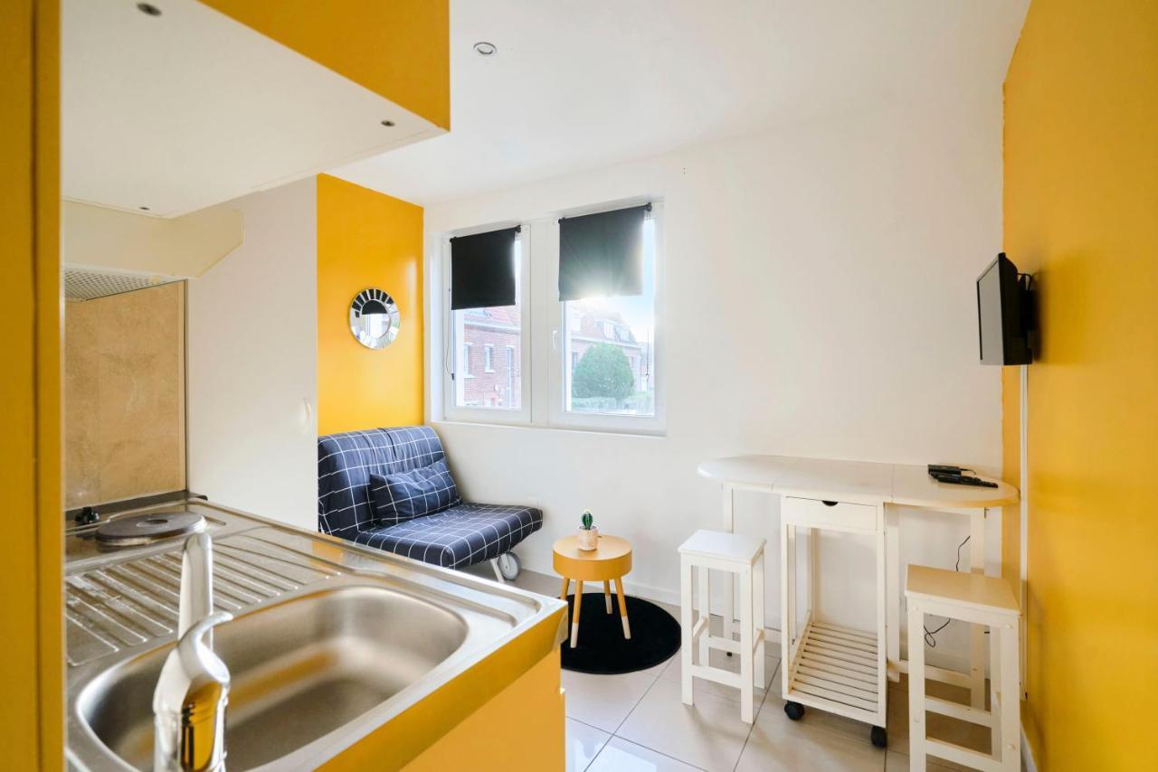 Jolis Appartements, Proche Facultes Medecine Et Hopitaux * Lille