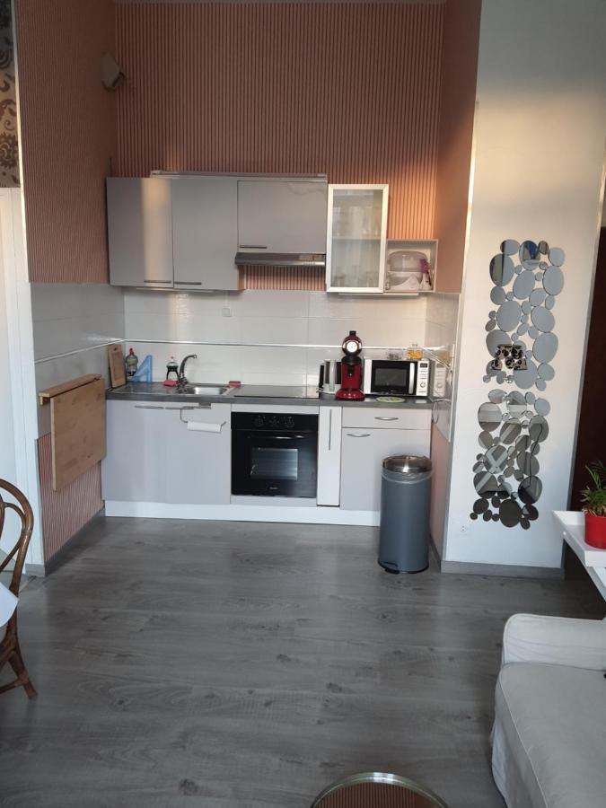 Apart Au Standing - Ambiance Cosy - Dans Un Immeuble De Prestige Du 19eme Siecle - Terrasse Au Rdc - Parking Lille