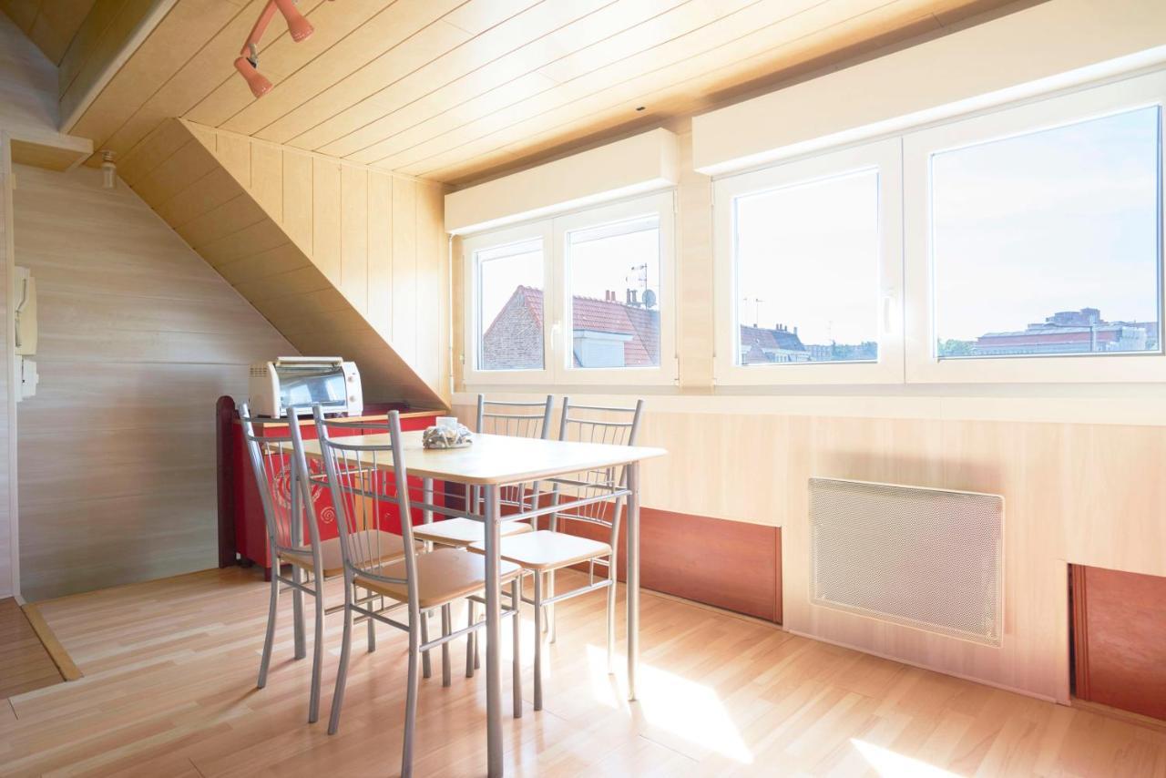 Jolis Appartements, Proche Facultes Medecine Et Hopitaux Apartment Lille