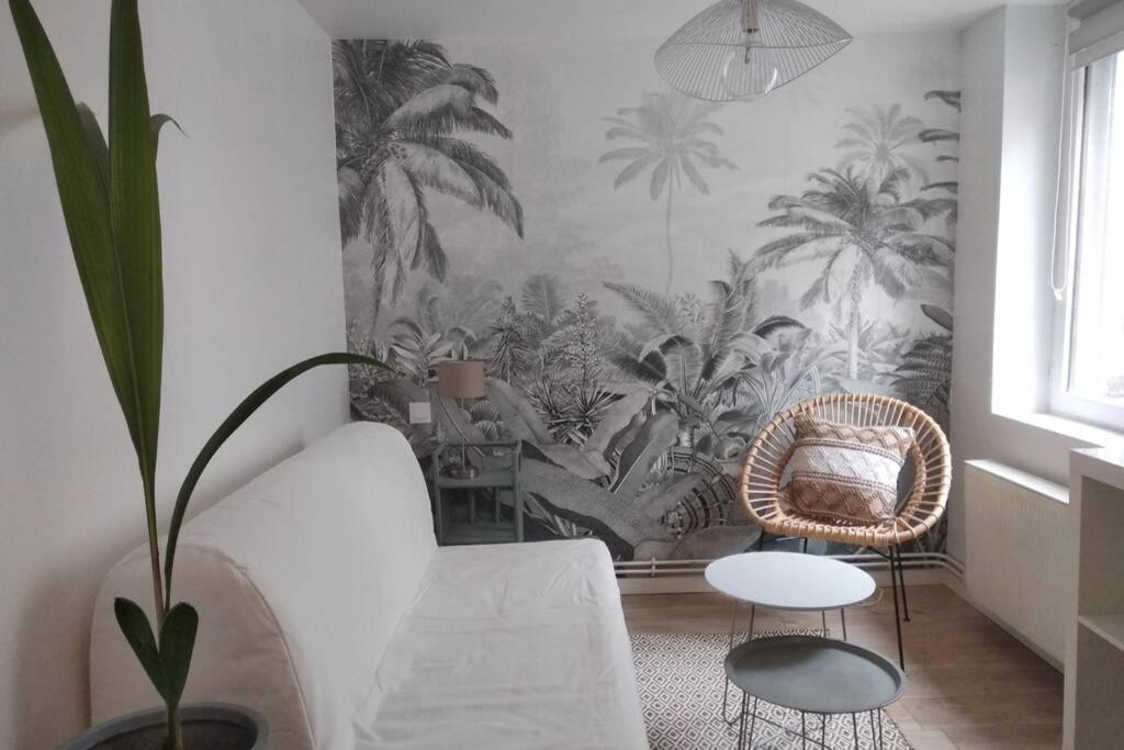 Duplex Cosy Waz'aime Proximite Commerces Et Metro Cormontaigne Ou Gambetta Apartment