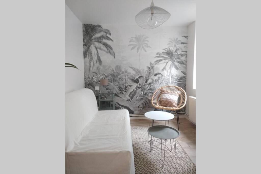 Duplex Cosy Waz'aime Proximite Commerces Et Metro Cormontaigne Ou Gambetta * Lille