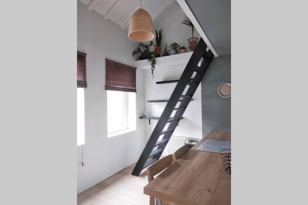 Duplex Cosy Waz'aime Proximite Commerces Et Metro Cormontaigne Ou Gambetta *
