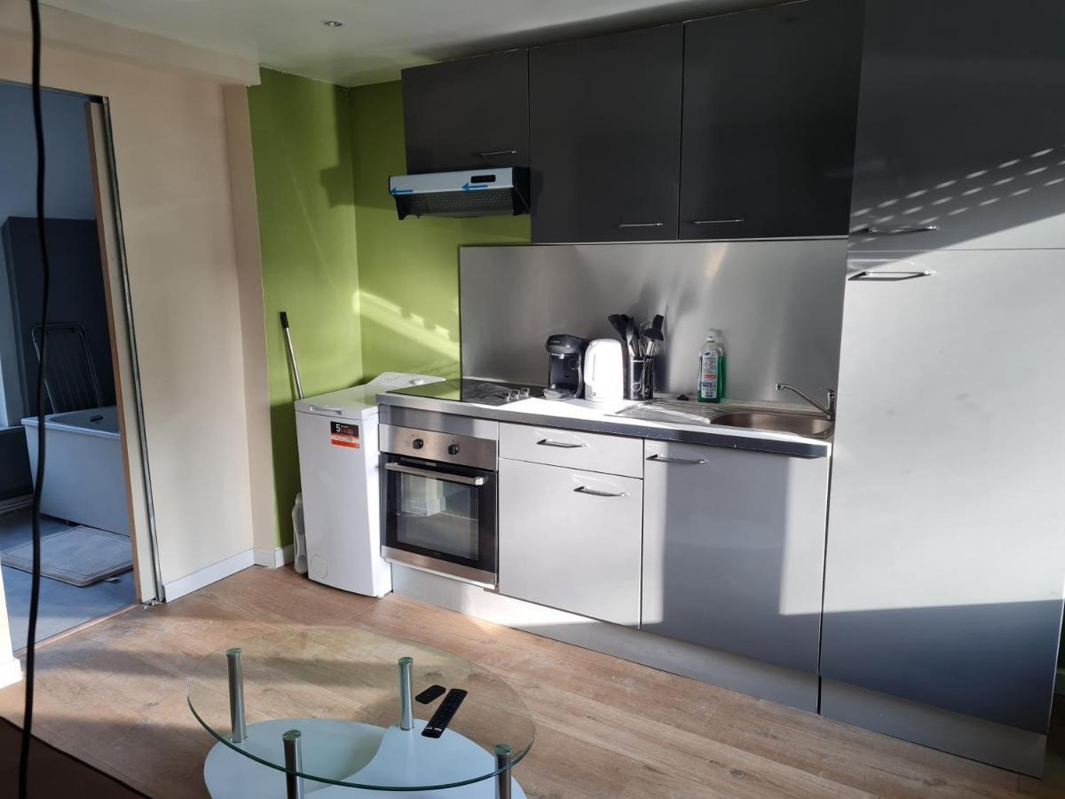 Apartment Duplex Savane, Lille