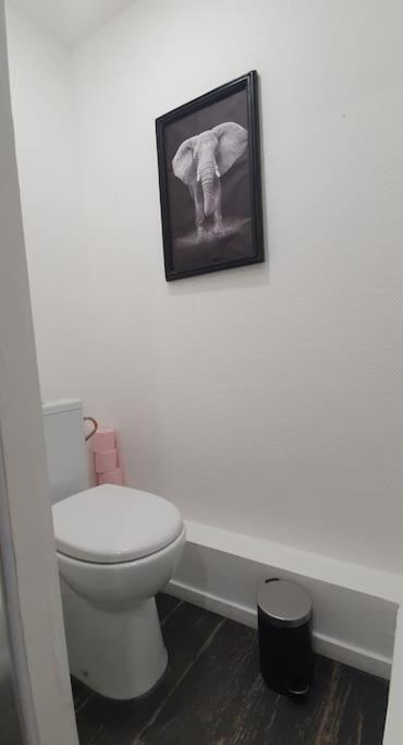 Magnifique Cocon A Lomme Appartement *