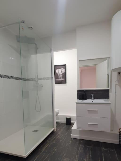 Magnifique Cocon A Lomme Appartement Rijsel