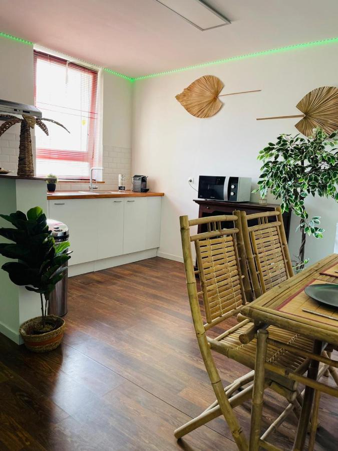 Balille Appartement Rijsel