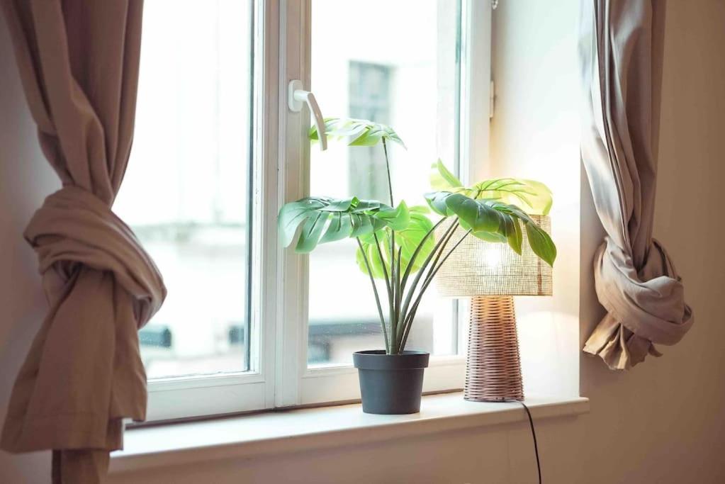 Superbe - Coeur Du Vieux-lille Apartment *