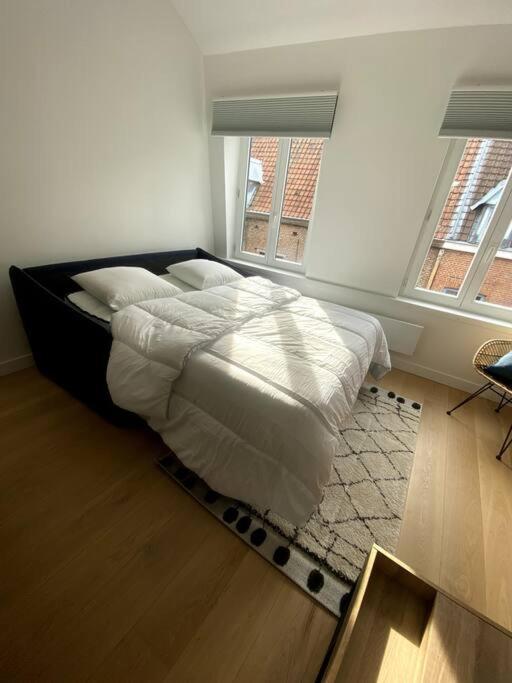 50 M2 Avec Rooftop Centre *