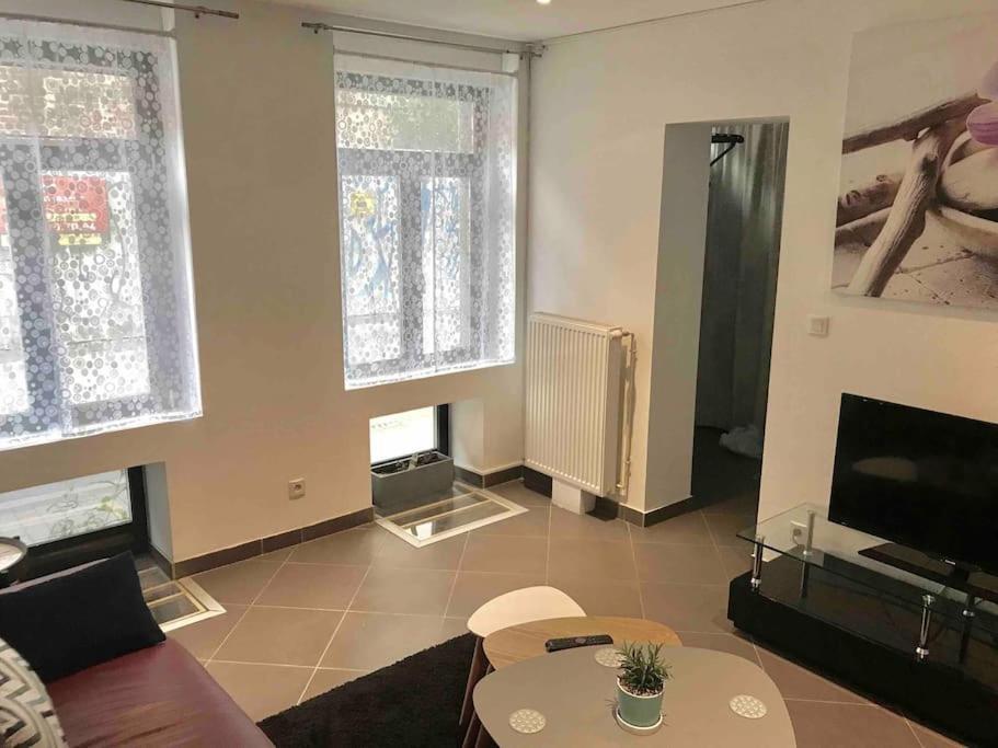 Apartment Maison Vieux Lille