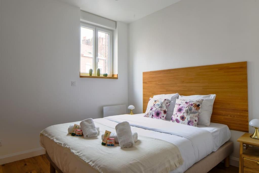 Tres Bel Lumineux Et Comfortable Lille