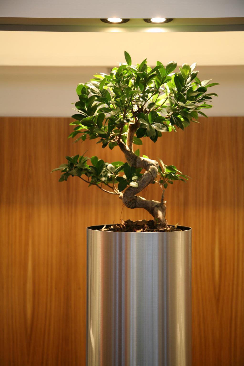Hilton Lille